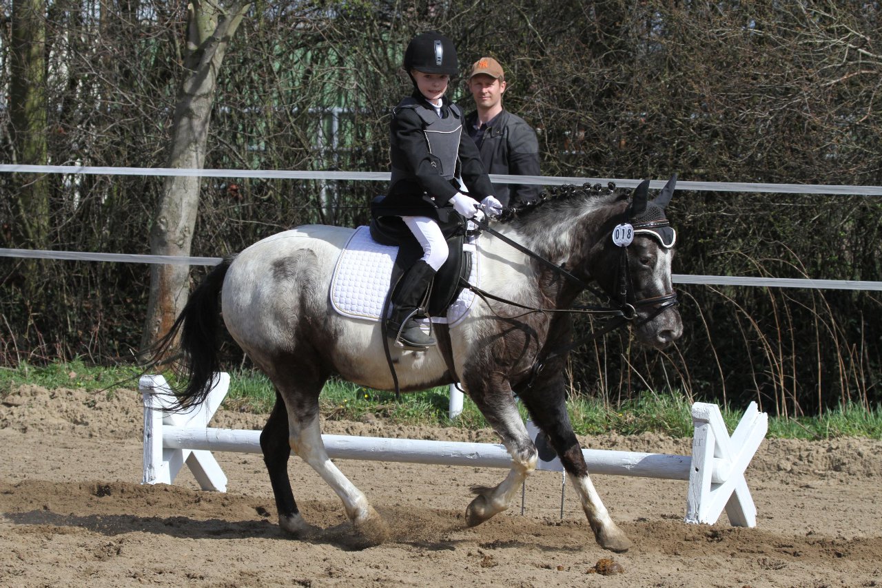 Bild 947 - WBO-Turnier am 9.4.11